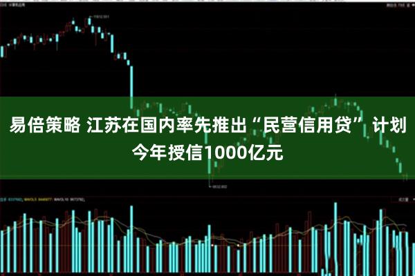 易倍策略 江苏在国内率先推出“民营信用贷” 计划今年授信1000亿元
