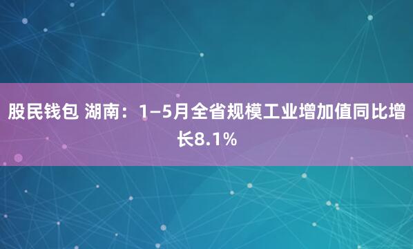 股民钱包 湖南：1—5月全省规模工业增加值同比增长8.1%