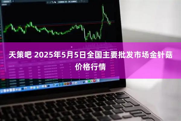 天策吧 2025年5月5日全国主要批发市场金针菇价格行情