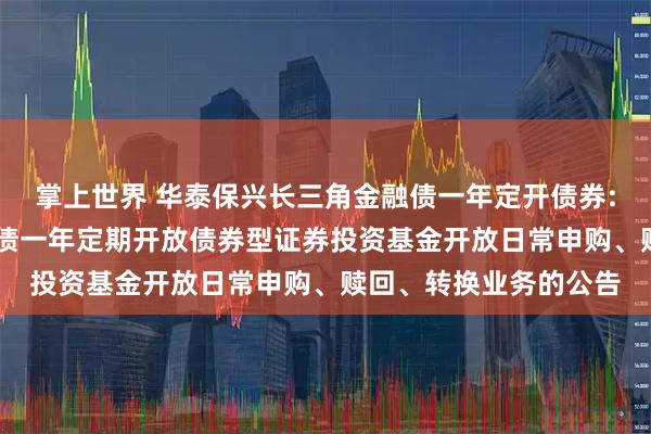 掌上世界 华泰保兴长三角金融债一年定开债券: 华泰保兴长三角金融债一年定期开放债券型证券投资基金开放日常申购、赎回、转换业务的公告