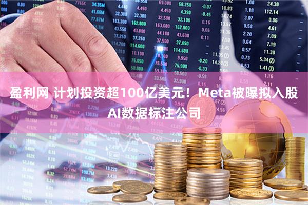 盈利网 计划投资超100亿美元！Meta被曝拟入股AI数据标注公司
